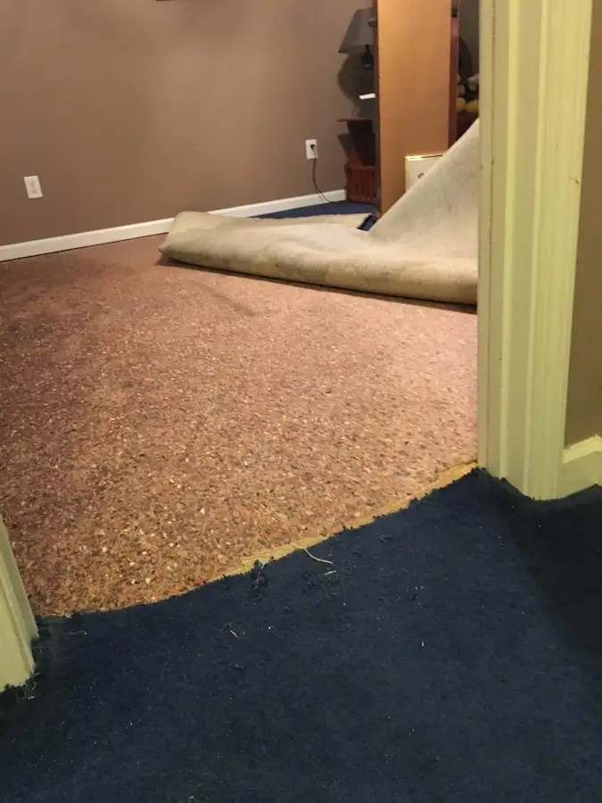 Carpet pad removal revealing water damage during Water Mitigation Services in Woodland Park