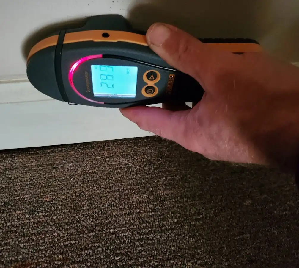 Moisture detection at baseboard during Sewage Cleanup & Sanitation in Woodland Park